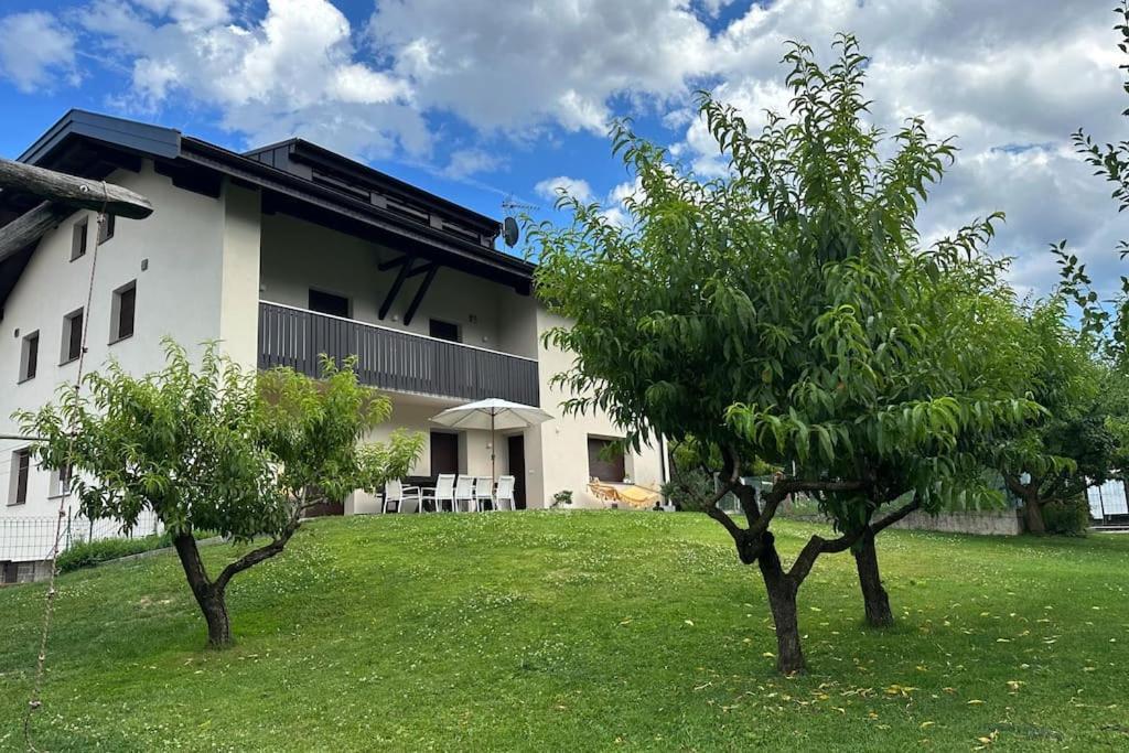 Haus Hafner Sonniges Apartment تيرلانو المظهر الخارجي الصورة